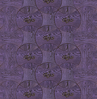 ƴ A02